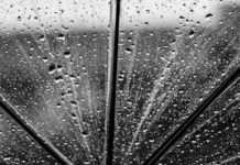 grayscale photo of umbrella with water droplets