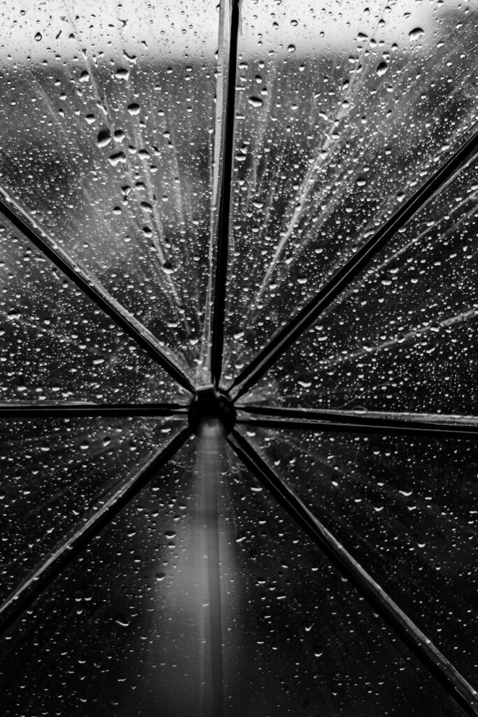grayscale photo of umbrella with water droplets