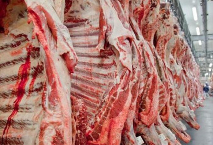 04 CENÁRIO. Abates de bovinos, suínos e frangos crescem no primeiro trimestre de 2026