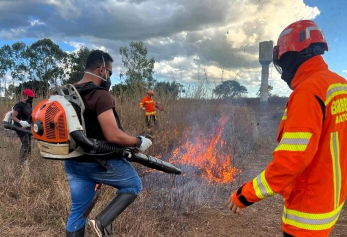 08 Corpo de Bombeiros reforça formação de brigadas em Mato Grosso para enfrentar incêndios florestais