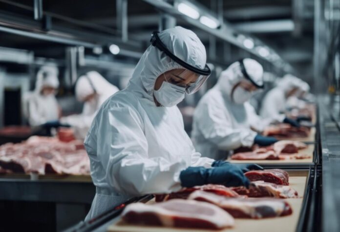 08 Mato Grosso bate recorde de abate de animais jovens e amplia participação nas exportações