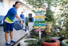 Projeto Hortas Escolares Pedagógicas vai atender 286 unidades da Rede Estadual de Ensino