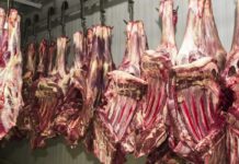 União Europeia anuncia proibição de importação de carne brasileira