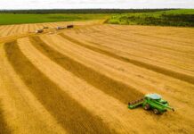 Mato Grosso consolida safra 25/26 com produção recorde e mantém liderança na soja há 26 safras