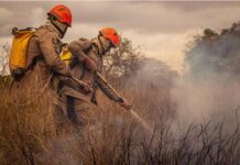 Governo de MT lança Plano de Ação de Combate ao Desmatamento Ilegal e Incêndios Florestais nesta segunda-feira (25)