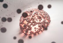 HPV causa mais de 7 mil mortes e cerca de 30 mil internações por ano no Brasil bacteria on white background