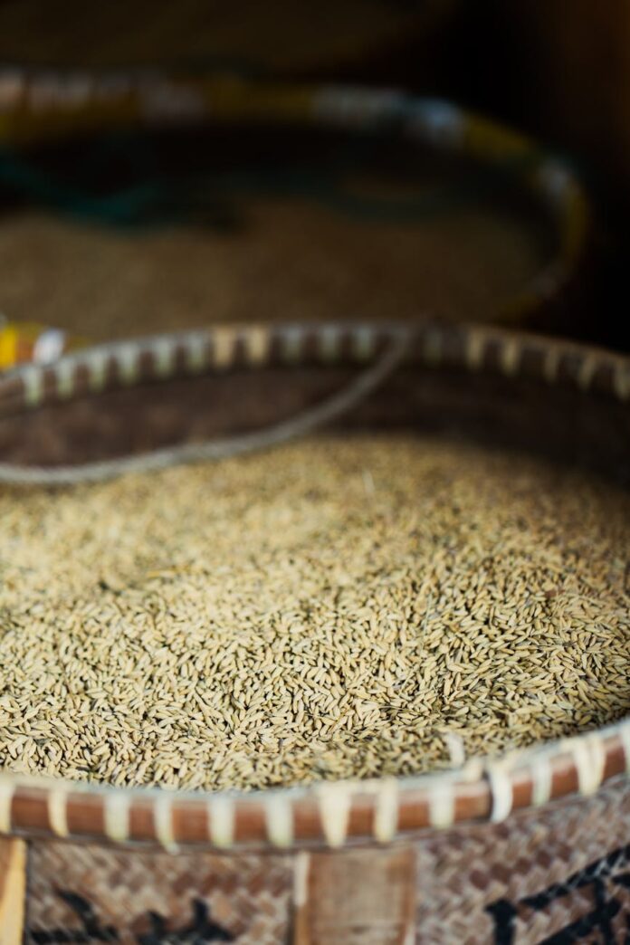 seeds in a basket