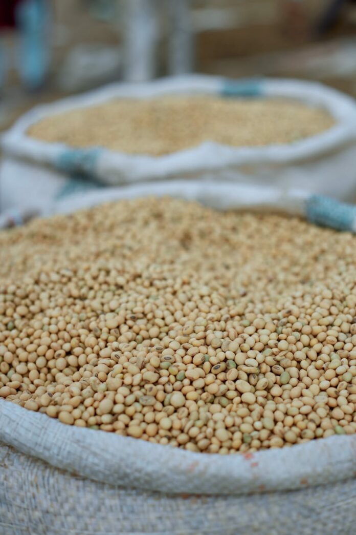 close up of sacks filled with soybeans