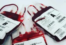 Agendamento para a Campanha de Doação de Sangue começa nesta quinta-feira (28) a close up shot of bags of blood