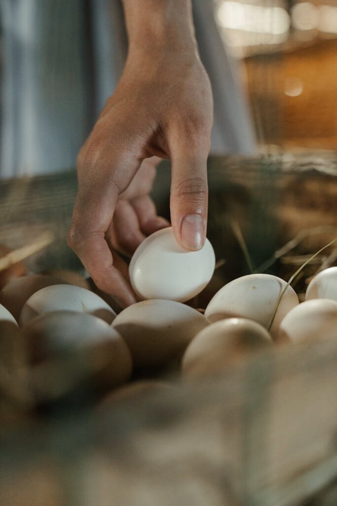 person holding white egg on brown wooden table