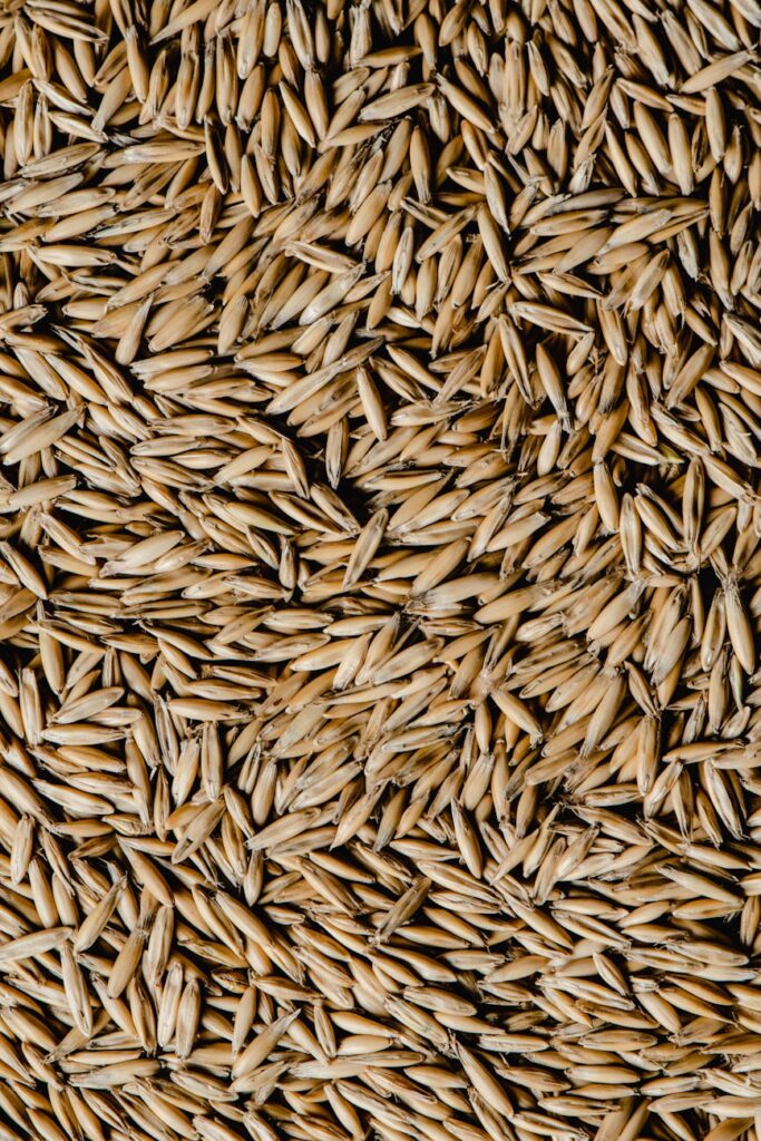 bulk of brown oat grains
