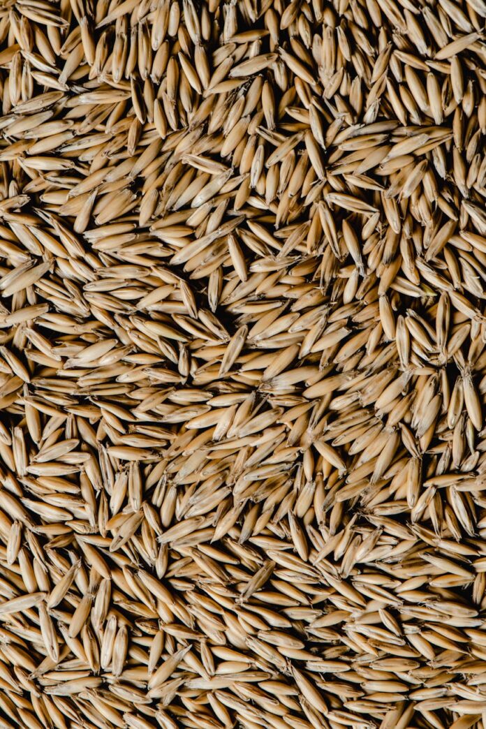 pexels-photo-6104221 bulk of brown oat grains