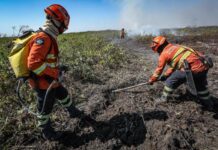 Bombeiros abrem 150 vagas para brigadistas temporários para reforçar combate aos incêndios florestais