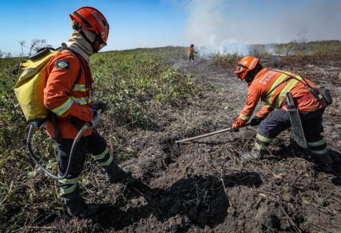 02 Bombeiros abrem 150 vagas para brigadistas temporários para reforçar combate aos incêndios florestais