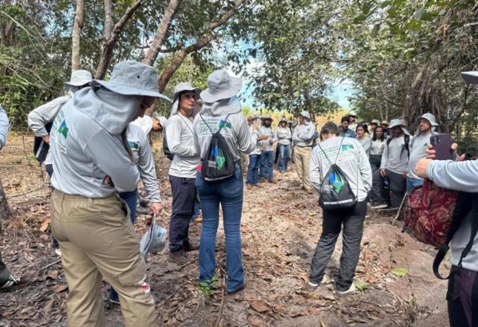 05 Programa Todos pelo Araguaia deve recuperar mil hectares de áreas degradadas até dezembro