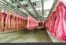 Carne suína como opção saudável e de alto valor nutricional na merenda escolar