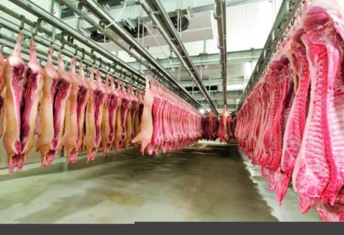 08 Carne suína como opção saudável e de alto valor nutricional na merenda escolar
