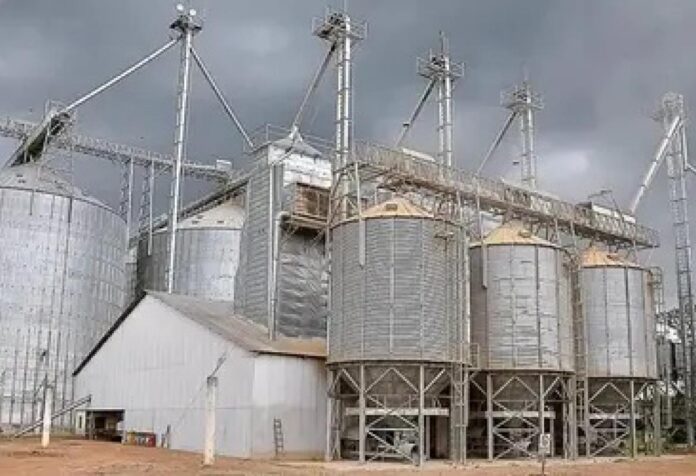 09 Certificação de armazéns passa a ser opcional após sanção de nova lei