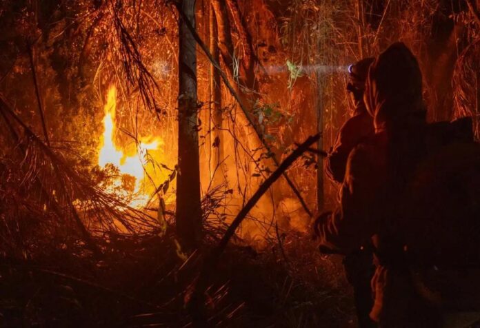 11 MP libera mais de R$ 337 milhões para combate a incêndios florestais
