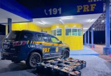 PRF intensifica fiscalização em rodovias federais de Mato Grosso e apreende mais de 280 kg de drogas
