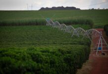 Setor produtivo e parlamentar paraenses esperam rapidez na aprovação da reforma do seguro rural