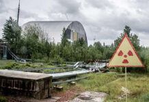 Chernobyl se torna refúgio para animais 40 anos após desastre nuclear, aponta estudo