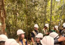 Quinze futuros engenheiros florestais conhecem o ciclo do manejo na 6º edição do Dia na Floresta