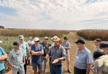 Produtores argentinos conhecem a Fundação Rio Verde e as potencialidades do agro de Mato Grosso