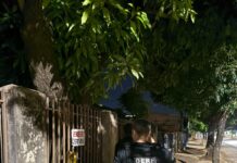 Polícia Civil cumpre mandados contra grupo criminoso envolvido com tráfico em Lucas do Rio Verde