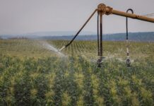 Sistema Famato informa novas regras para desconto na tarifa de energia elétrica para irrigação e aquicultura