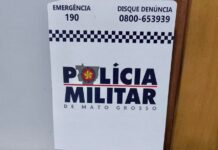 Polícia Militar apreende mais de 1,9 kg de drogas em área de mata em Tapurah