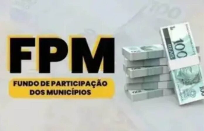 fpm (4)