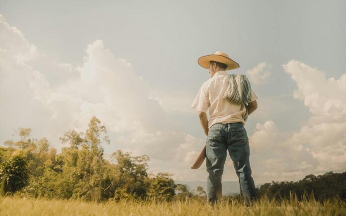 man wearing straw hat on a field