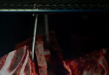 close up of raw meat