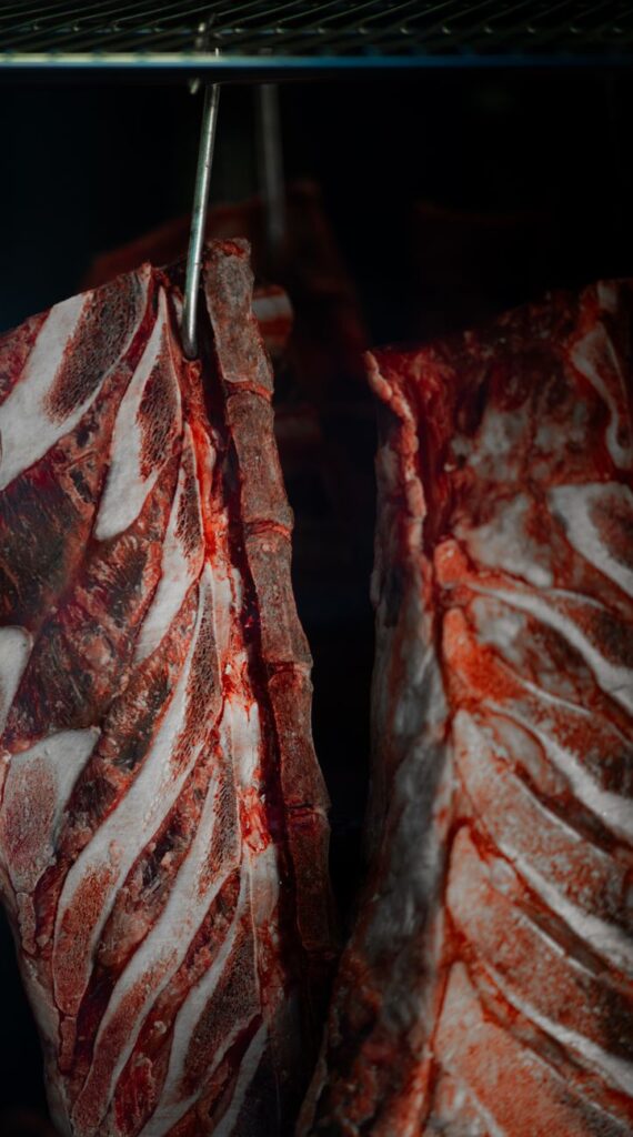 close up of raw meat