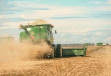 Safra de inverno será menor: Conab projeta queda nas produções de aveia e trigo soybean harvest in paragominas brazil