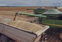 Conab atualiza projeção para safra de grão e prevê colheita recorde de quase 359 milhões de toneladas soybean harvesting in paragominas brazil