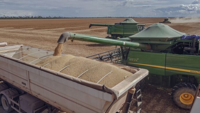 pexels-photo-31678059 soybean harvesting in paragominas brazil