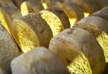 Concurso do Queijo de Mato Grosso recebe inscrições até 18 de junho