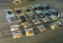 Suspeito é preso por tráfico de drogas durante patrulhamento da Guarda Civil Municipal