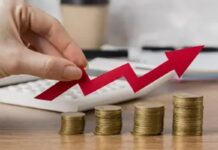 Micro e pequenas empresas representam 95% dos negócios e geraram 80% dos empregos em 2025