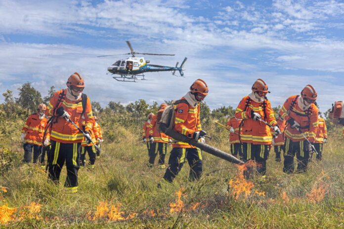 incendio_florestal (9)
