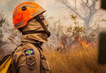 Acrimat alerta pecuaristas sobre início do período proibitivo do uso do fogo em Mato Grosso firefighter in action battling wildfire in brazil